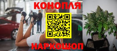индика Наро-Фоминск