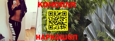 индика Наро-Фоминск