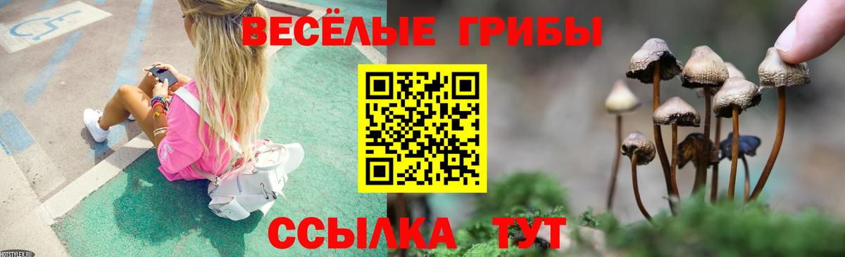 наркошоп  Вход с VPN  Сызрань  Галлюциногенные грибы Cubensis 